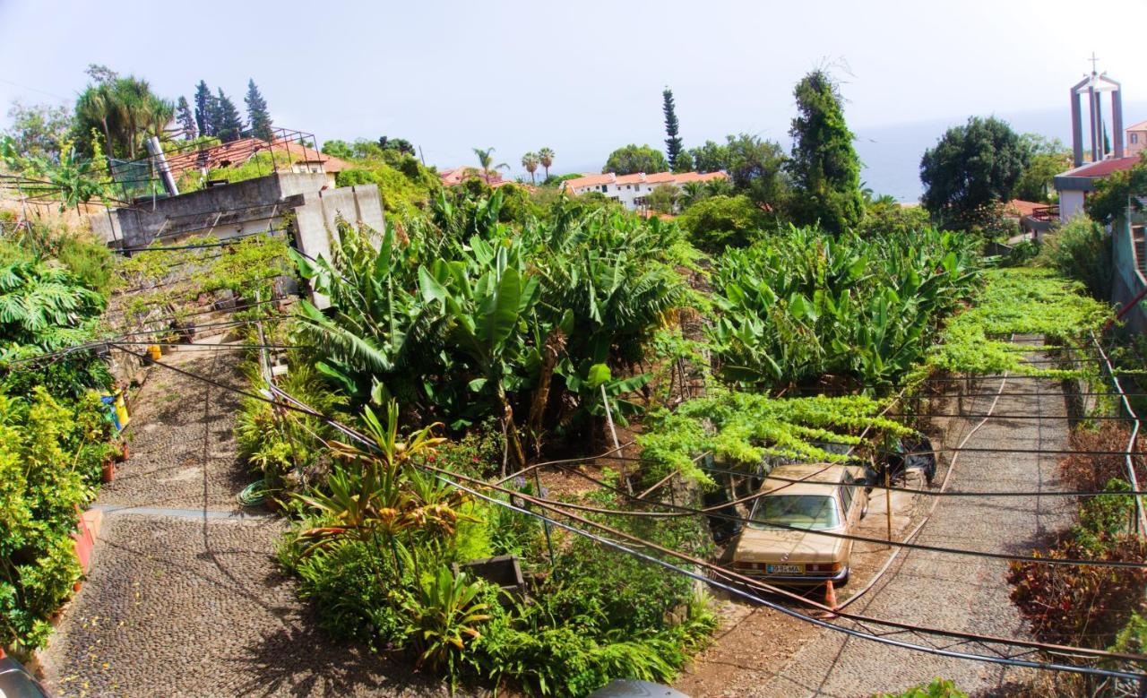 Villa Catanho Funchal  Eksteriør billede