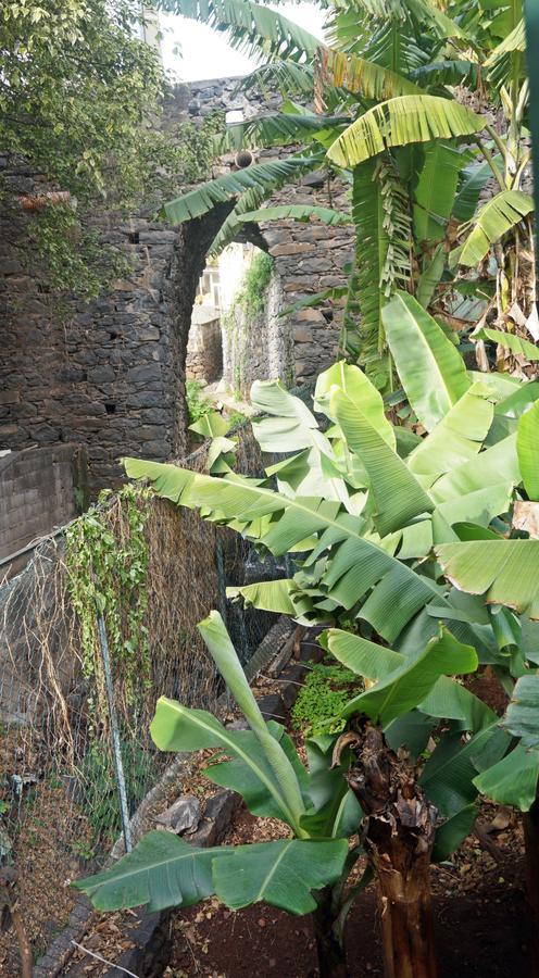 Villa Catanho Funchal  Eksteriør billede